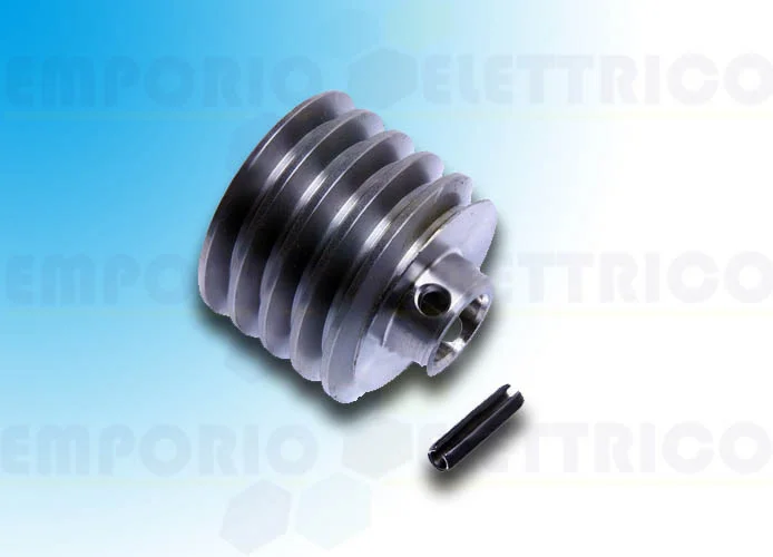 came spare part endless screw bx 119riy003