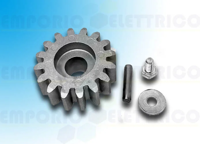 came spare part pinion bxl 119rib005