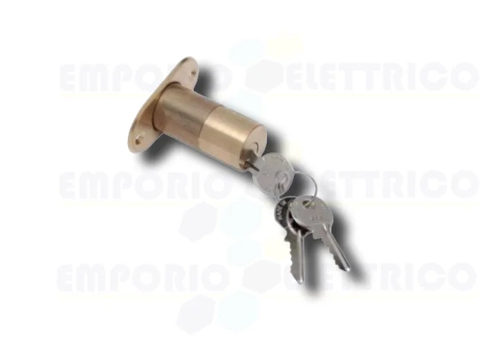 faac external cylinder with 2 electrolock keys 712652001/36